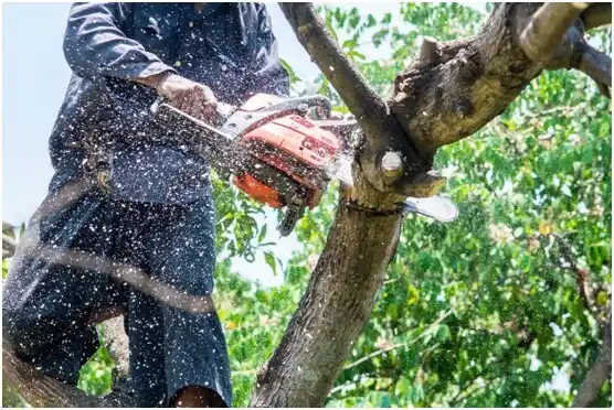 tree services Mascot